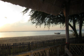 Díli: a cidade que ilumina como Lisboa e o Rio (parte II) 37