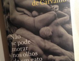 Não se Pode Morar nos Olhos de um Gato, Ana Margarida de Carvalho 71