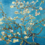 Todos Os Sonhos Do Mundo, na Antena 1, com as perguntas de Anabela Mota Ribeiro 72