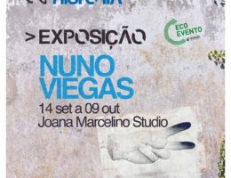 Leiria está mais bonita 78