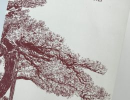 O Pequeno Caminho das Grandes Perguntas, José Tolentino Mendonça 70