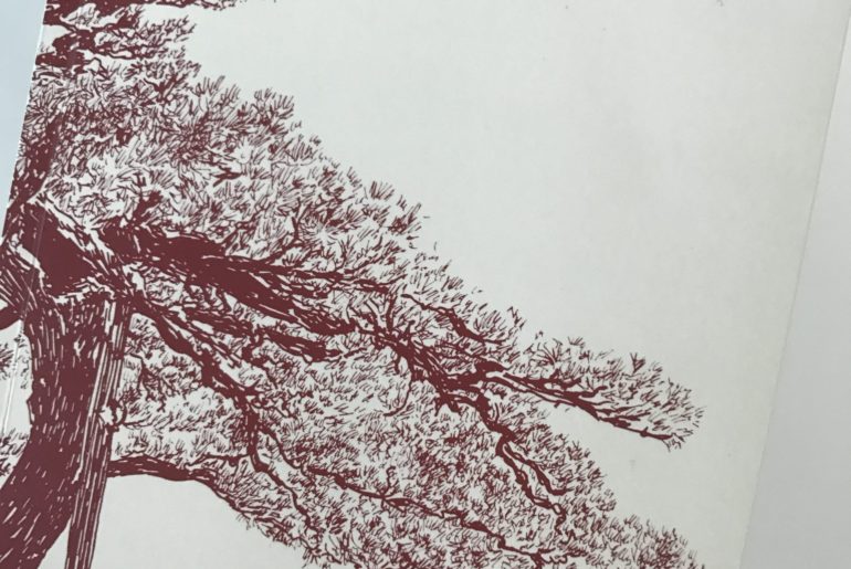 O Pequeno Caminho das Grandes Perguntas, José Tolentino Mendonça 69