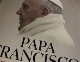 Papa Francisco A Revolução Imparável, António Marujo e Joaquim Franco 74