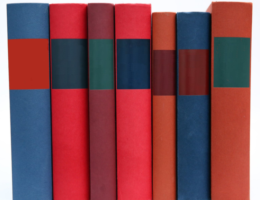 Encontro de Escritores de Língua Portuguesa arranca em Cabo Verde 74