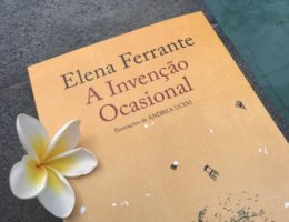 A Invenção Ocasional, Elena Ferrante 74