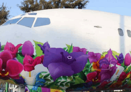 Um avião para ler (e voar), na Cidade do México 71