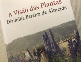 A Visão das Plantas, Djaimilia Pereira de Almeida 69