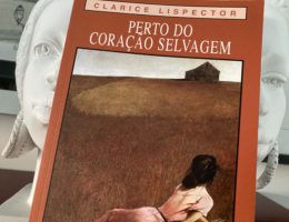 Perto do Coração Selvagem, Clarice Lispector 77