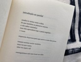 introdução ao pardal, Inês Francisco Jacob 72