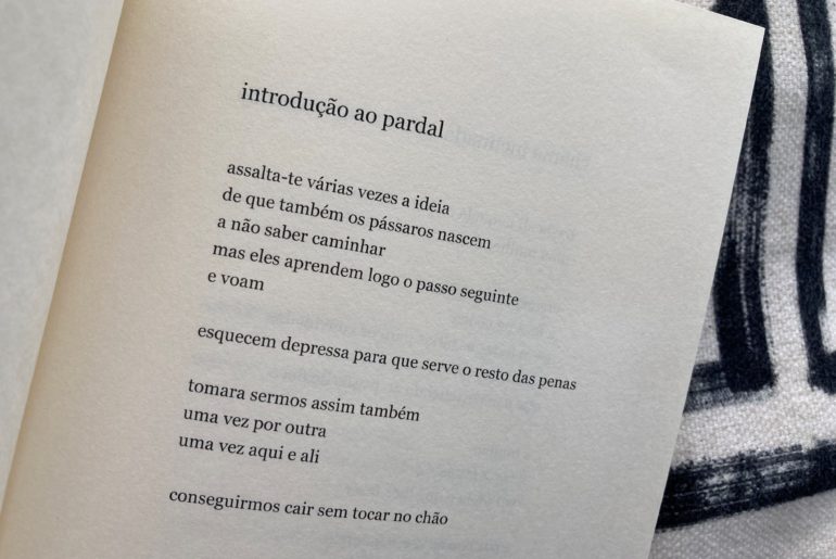 introdução ao pardal, Inês Francisco Jacob 77