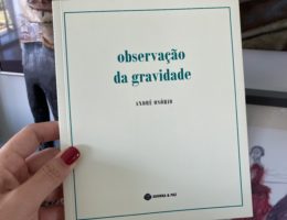 Observação da Gravidade, André Osório 70