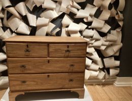 Plural como o universo 72