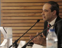 Pedro Flor Entre Vistas (via zoom) 79