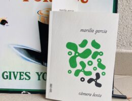 Câmera Lenta, Marília Garcia 71