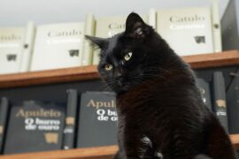 Acervo da Cotovia 57