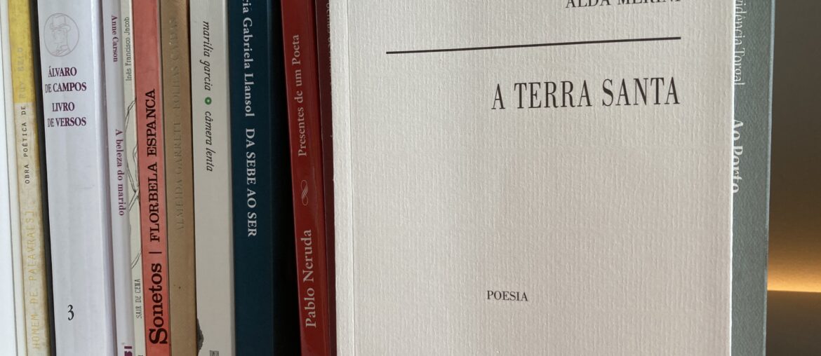 Alda Merini, A Terra Santa 1