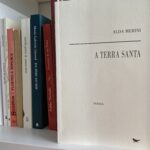 Alda Merini, A Terra Santa 15