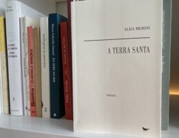 Alda Merini, A Terra Santa 70
