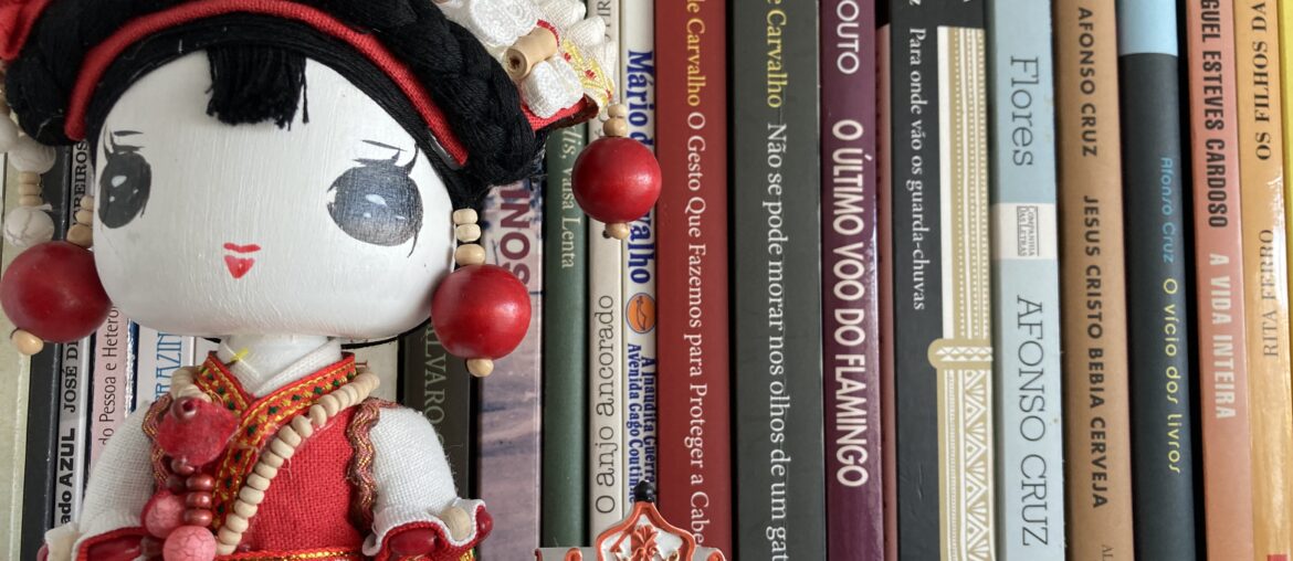 A estante dos livros 1
