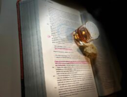 Pelas Lentes da Mafalda Ribeiro - Parte IV 77