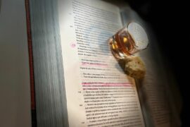 Pelas Lentes da Mafalda Ribeiro - Parte IV 14