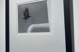 A Paciência da Sombra, de Veríssimo Dias 48