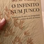 O Infinito num Junco, Irene Vallejo 77