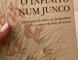 O Infinito num Junco, Irene Vallejo 70