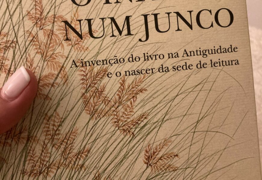 O Infinito num Junco, Irene Vallejo