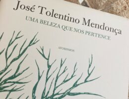 Uma Beleza Que nos Pertence, José Tolentino Mendonça 79