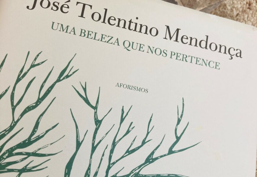 Uma Beleza Que nos Pertence, José Tolentino Mendonça