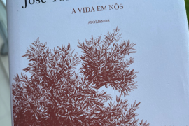A Vida em Nós, José Tolentino Mendonça 22