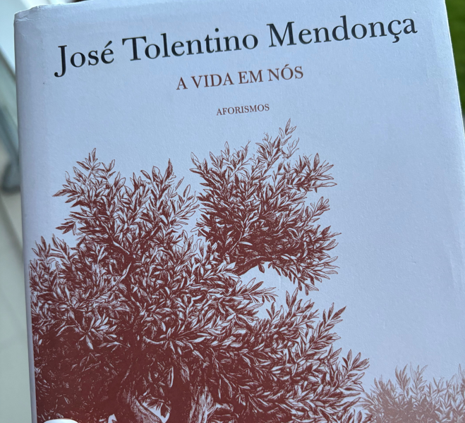 A Vida em Nós, José Tolentino Mendonça