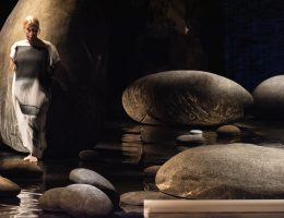 Nini Andrade Silva Entre Vistas 71