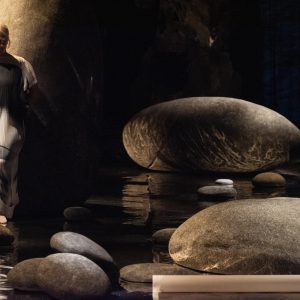 Nini Andrade Silva Entre Vistas