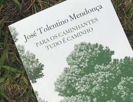 Para os Caminhantes Tudo É Caminho, José Tolentino Mendonça 70