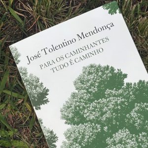 Para os Caminhantes Tudo É Caminho, José Tolentino Mendonça