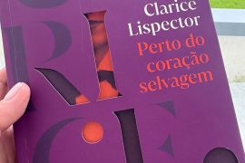 Perto do Coração Selvagem, Clarice Lispector 21