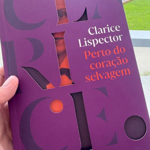 Perto do Coração Selvagem, Clarice Lispector